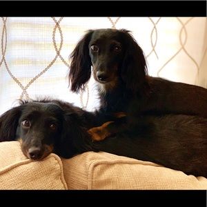 Meet your Posher, Vicki